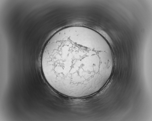 X0000093411436200711091351