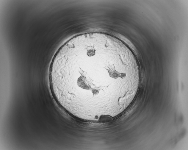 X0000093411439200711091351