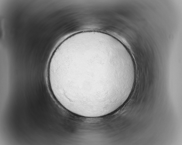 X0000093411440200711091351