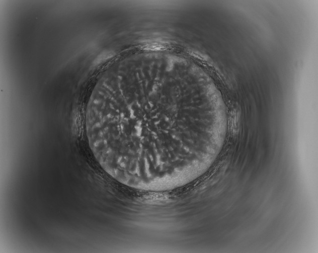 X0000093411446200711091350