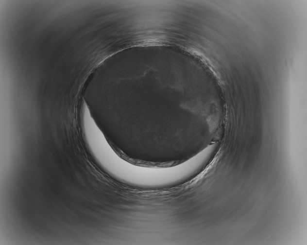 X0000093411449200711091350