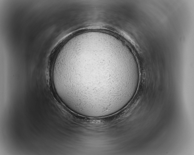 X0000093411456200711091350