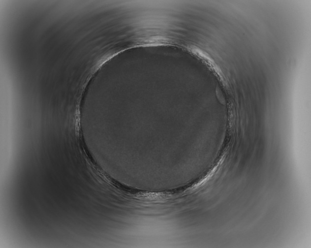 X0000093411457200711091350