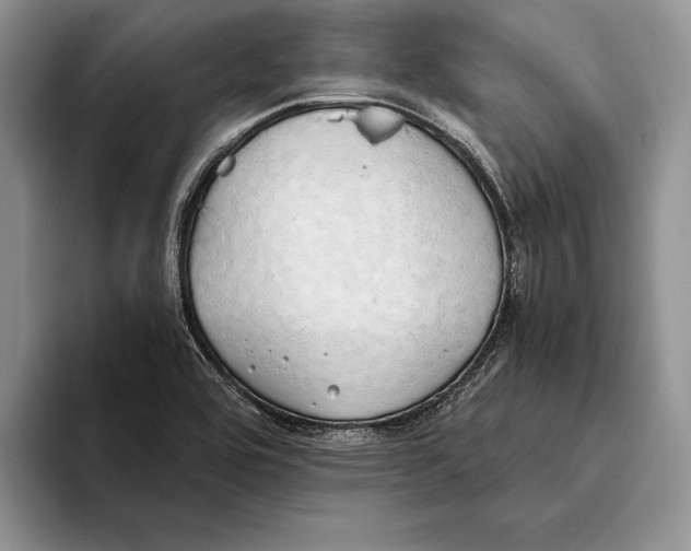 X0000093411464200711091350