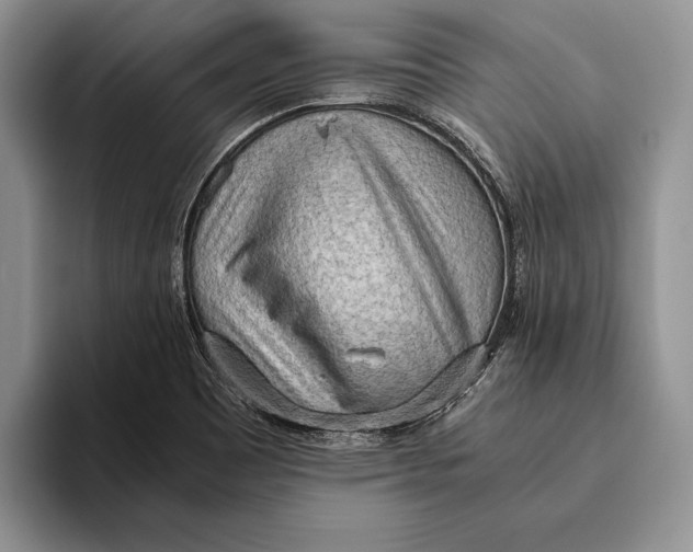 X0000093411465200711091350