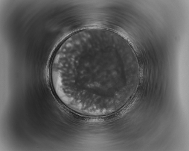 X0000093411466200711091350