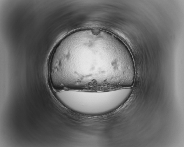 X0000093411467200711091350