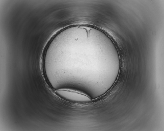 X0000093411468200711091350