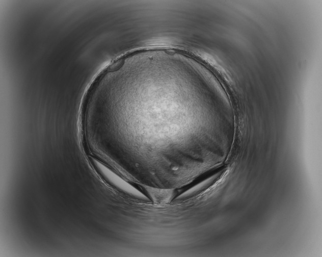 X0000093411469200711091350