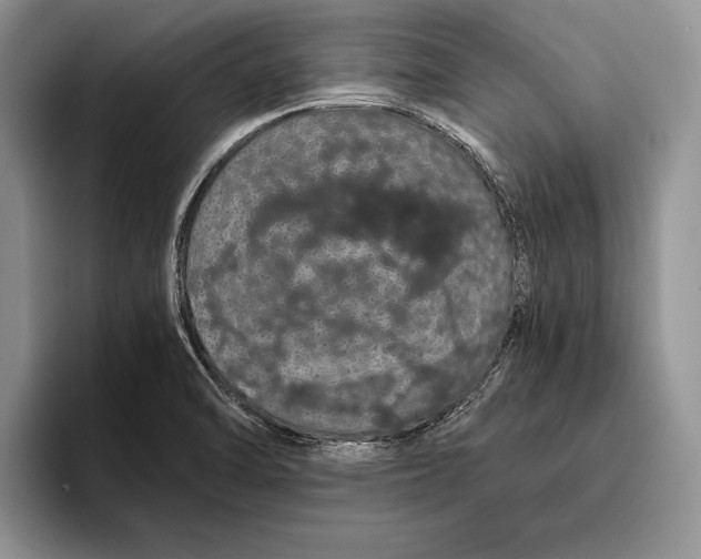 X0000093411470200711091350