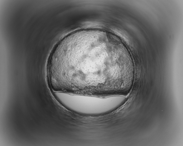 X0000093411471200711091350