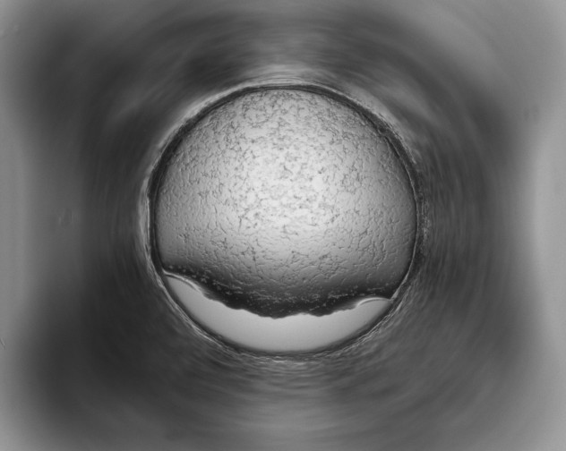 X0000093411472200711091350