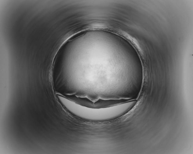 X0000093411473200711091350