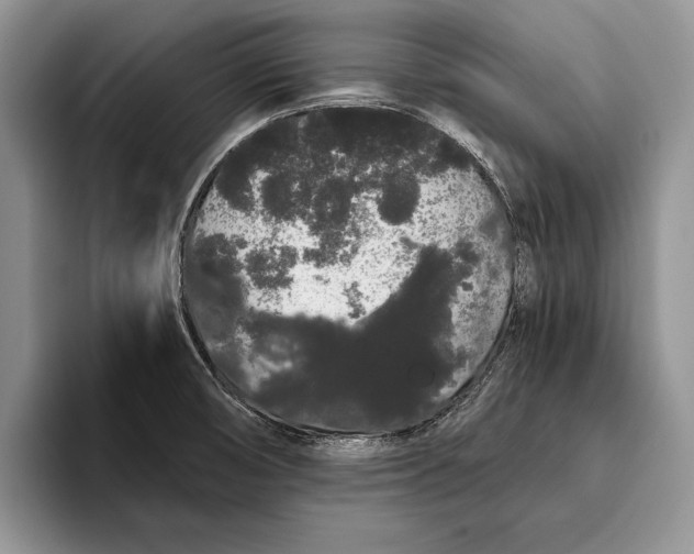 X0000093411474200711091350