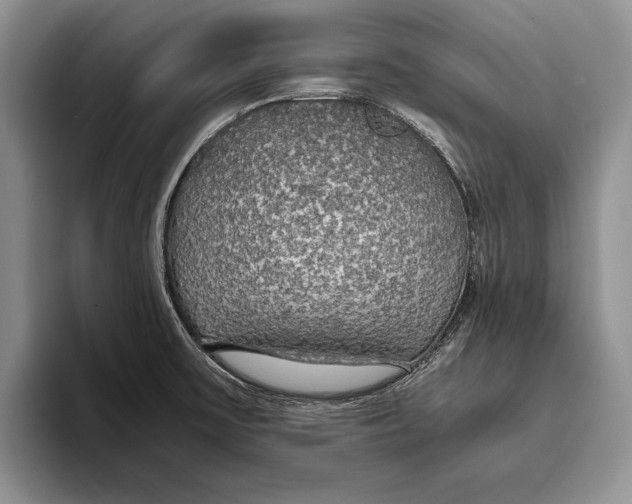 X0000093411475200711091350