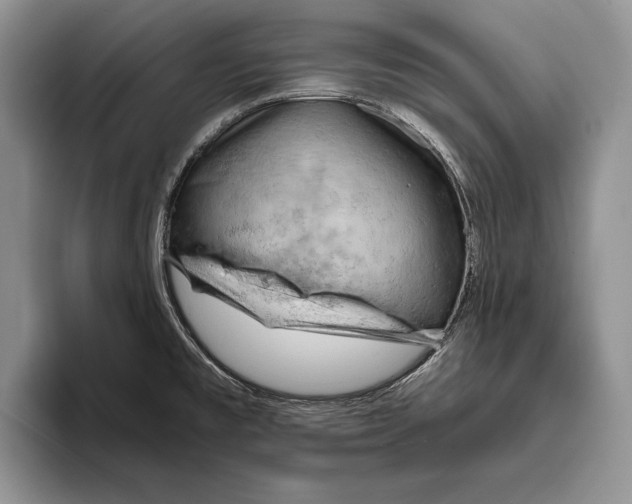 X0000093411477200711091350