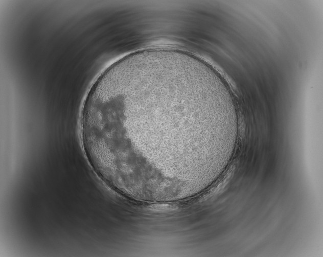 X0000093411478200711091350