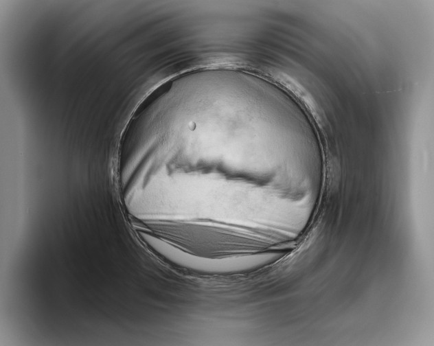 X0000093411481200711091350