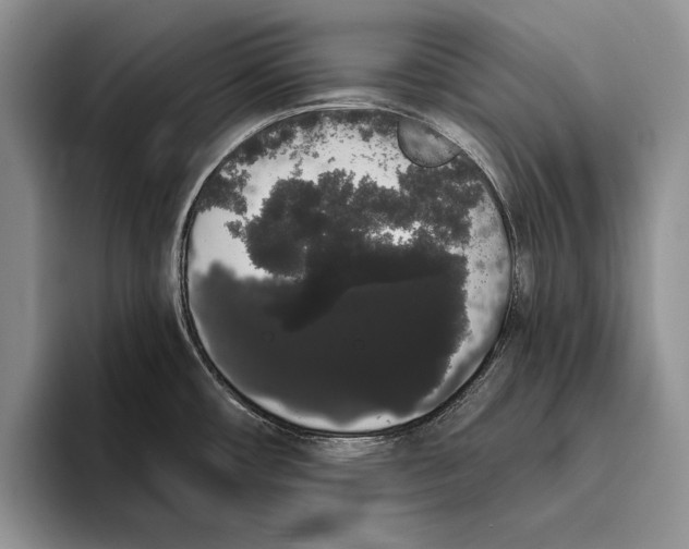 X0000093411482200711091350