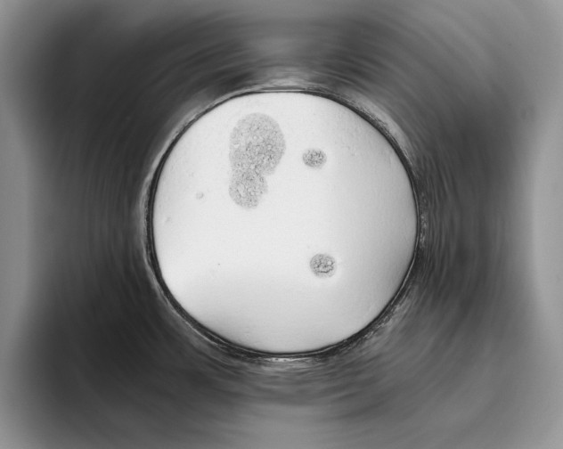 X0000093411483200711091350