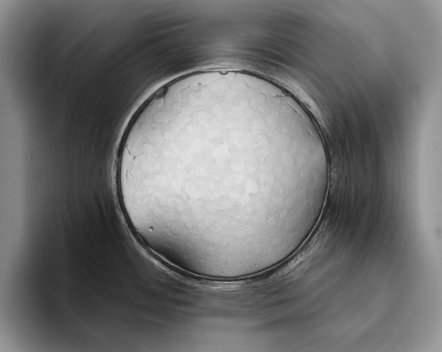 X0000093411484200711091350