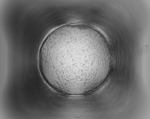 X0000093411487200711091350