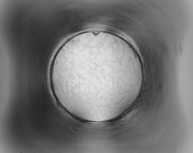 X0000093411488200711091350