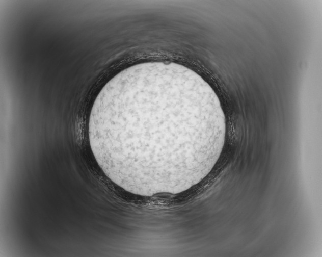 X0000093411490200711091349