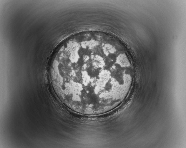 X0000093411497200711091350