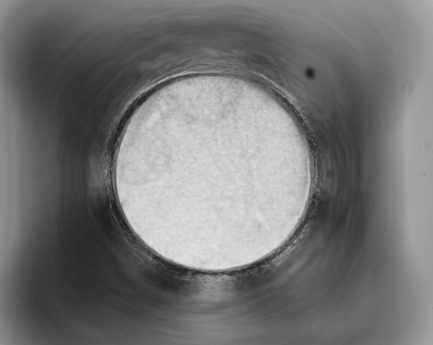 X0000093411498200711091350