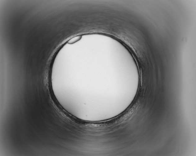 X0000093411500200711091350