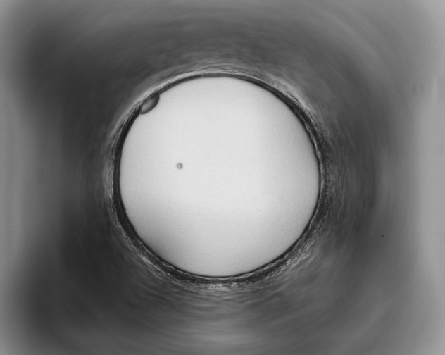 X0000093411504200711091350