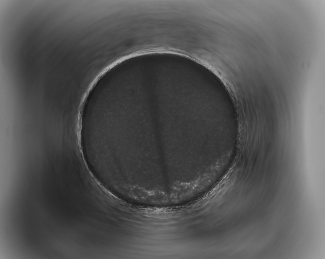 X0000093411508200711091350