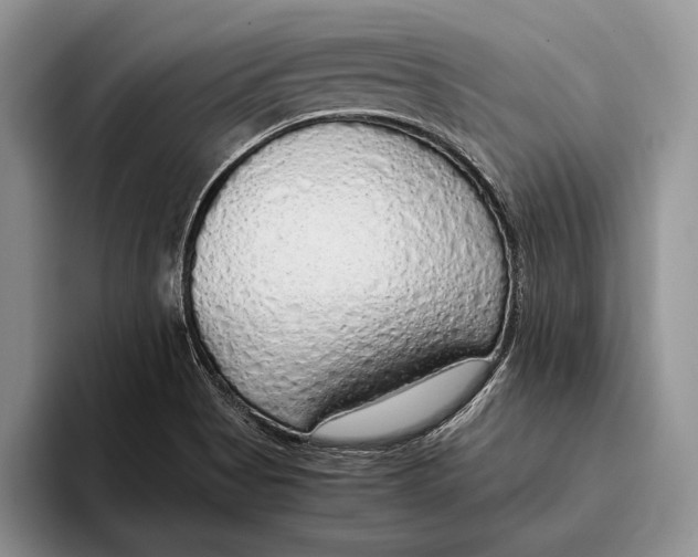 X0000093411513200711091350