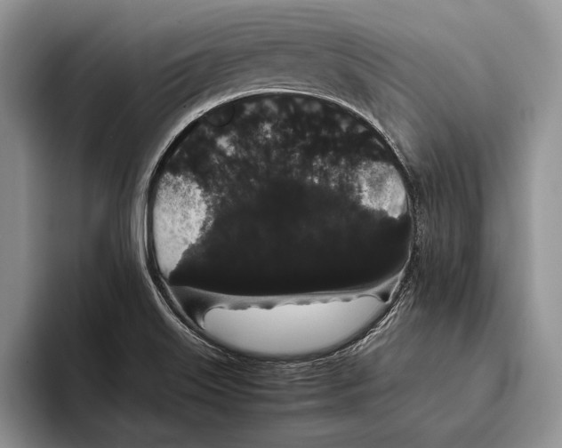 X0000093411515200711091350