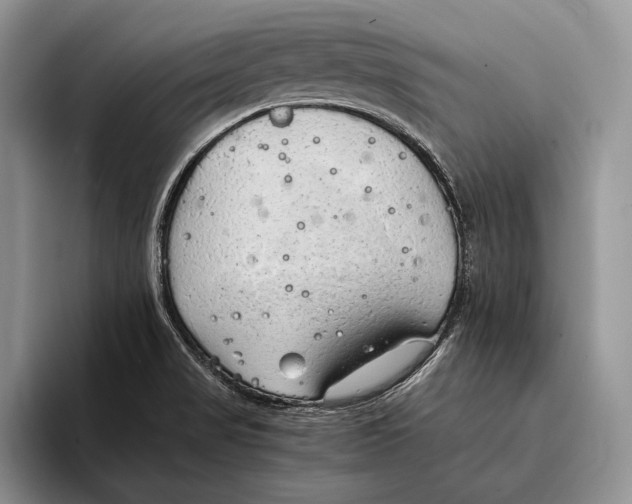 X0000093411517200711091350