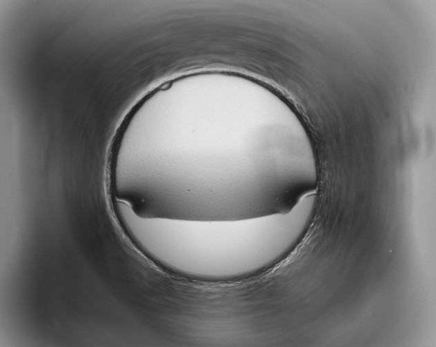 X0000093411518200711091350