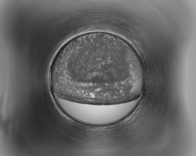 X0000093411519200711091350