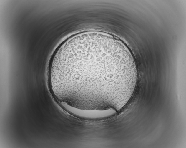 X0000093411523200711091350