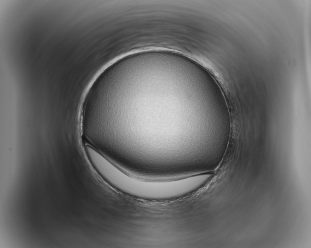 X0000093411524200711091350