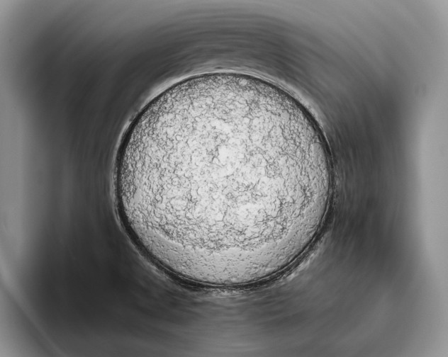 X0000093411525200711091350