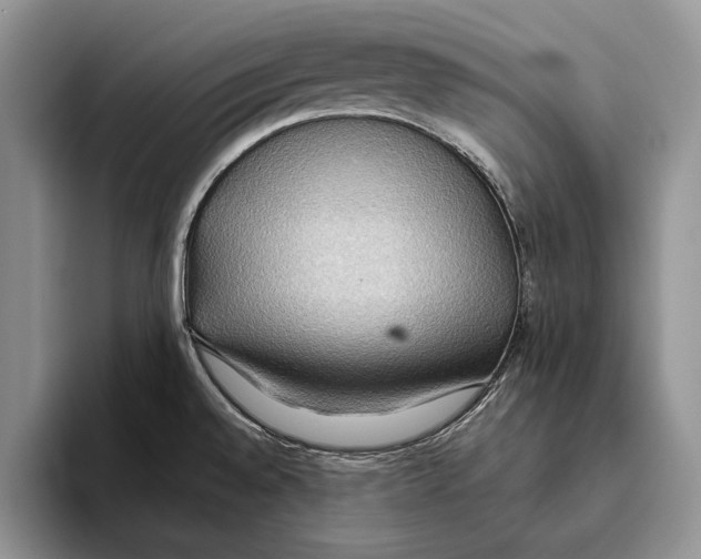 X0000093411528200711091350