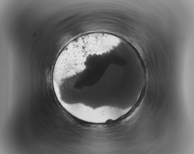 X0000093411529200711091350