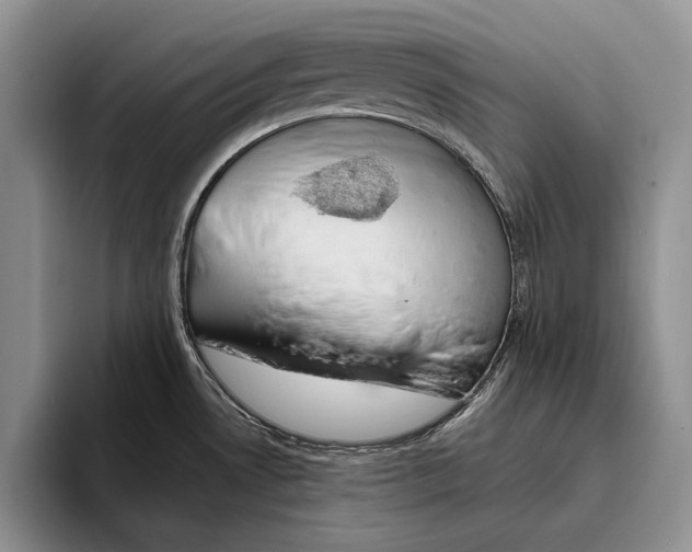 X0000093411530200711091350