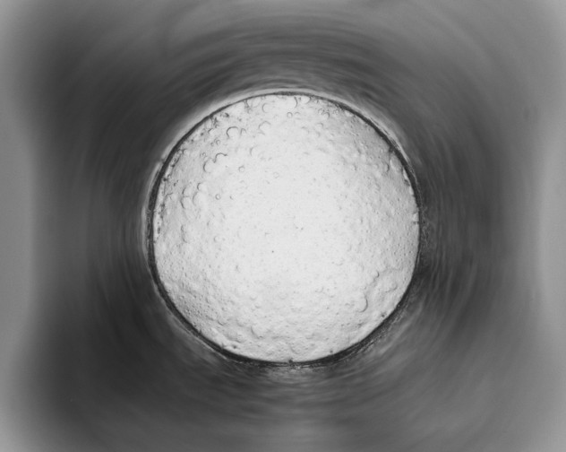 X0000093411535200711091350