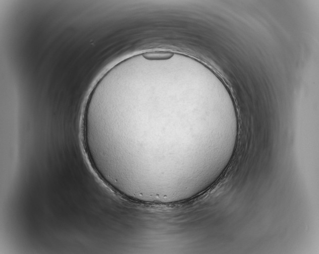 X0000093411536200711091350