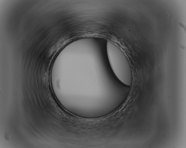 X0000093420002200710120906