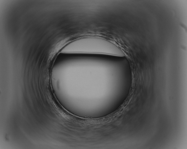 X0000093420005200710120906
