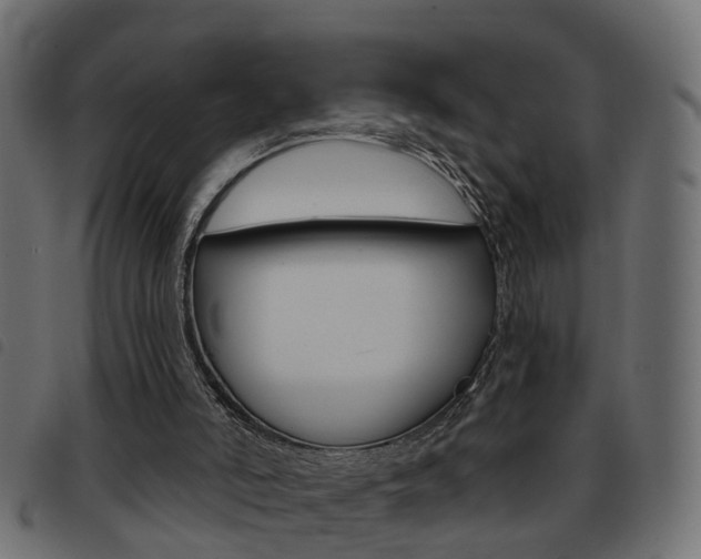 X0000093420006200710120906