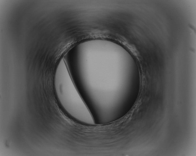 X0000093420009200710120906